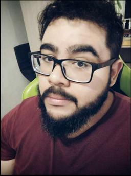 perfil